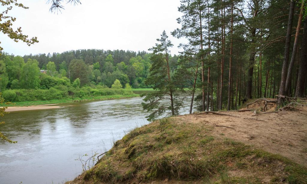 Butas Prie Nemuno Hotel Druskininkai Bagian luar foto