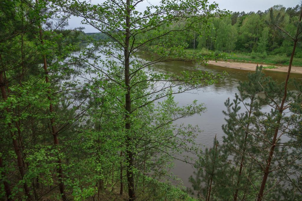 Butas Prie Nemuno Hotel Druskininkai Bagian luar foto